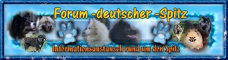 Spitzforum